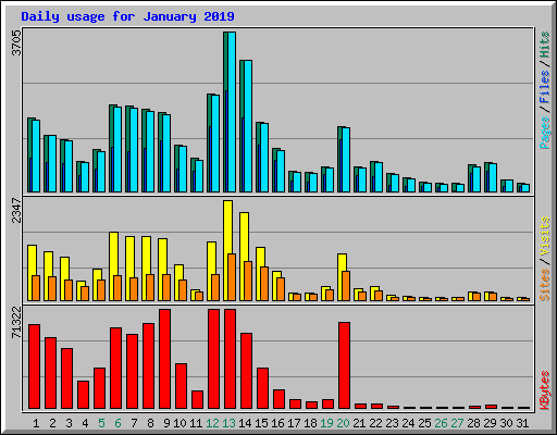 Daily usage for January 2019