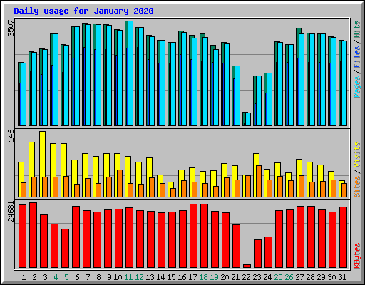 Daily usage for January 2020