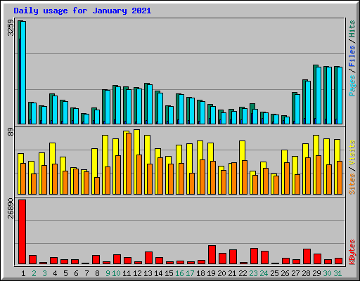 Daily usage for January 2021