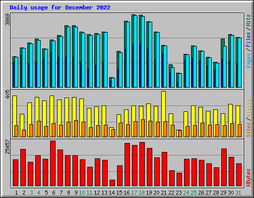 Daily usage for December 2022