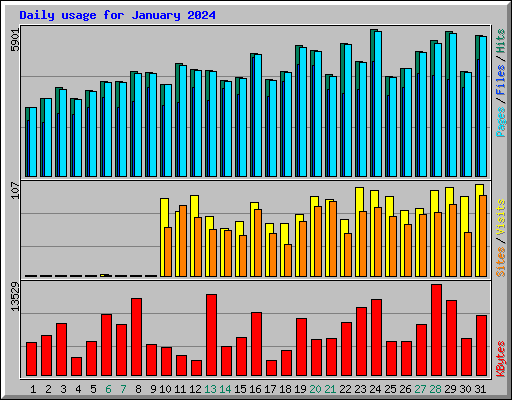 Daily usage for January 2024