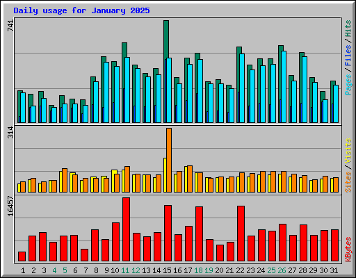 Daily usage for January 2025