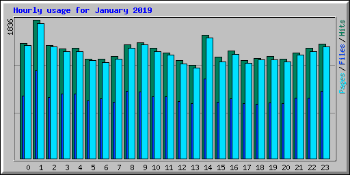 Hourly usage for January 2019