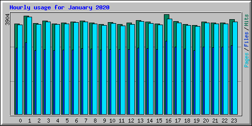 Hourly usage for January 2020