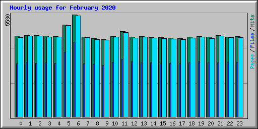 Hourly usage for February 2020