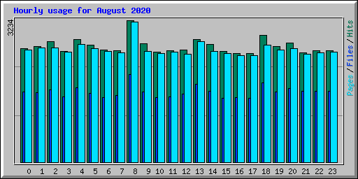 Hourly usage for August 2020