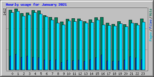 Hourly usage for January 2021