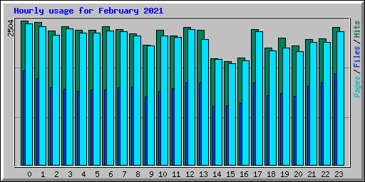 Hourly usage for February 2021