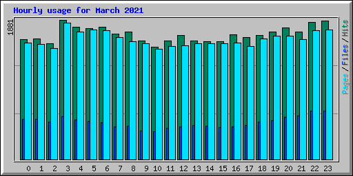 Hourly usage for March 2021