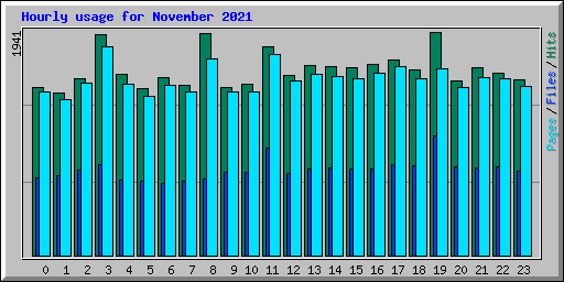 Hourly usage for November 2021