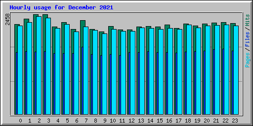 Hourly usage for December 2021
