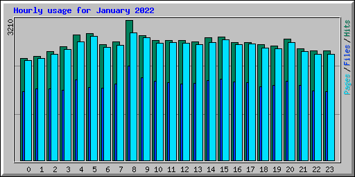 Hourly usage for January 2022