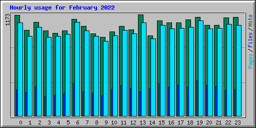 Hourly usage for February 2022