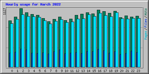 Hourly usage for March 2022