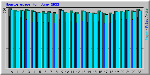 Hourly usage for June 2022