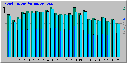 Hourly usage for August 2022