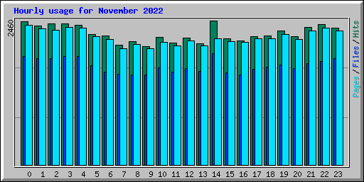 Hourly usage for November 2022