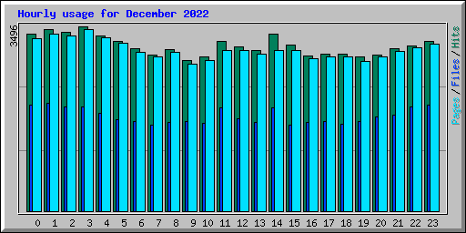 Hourly usage for December 2022