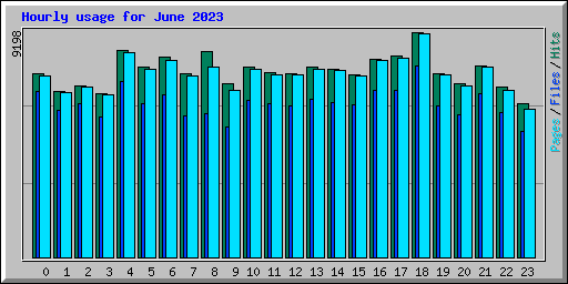 Hourly usage for June 2023