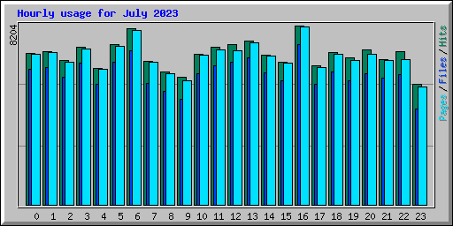 Hourly usage for July 2023