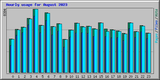 Hourly usage for August 2023