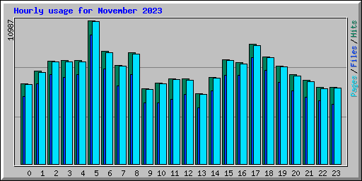 Hourly usage for November 2023