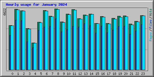 Hourly usage for January 2024