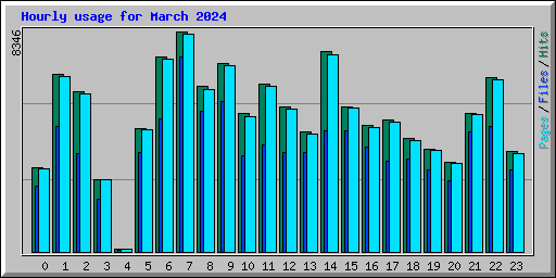 Hourly usage for March 2024