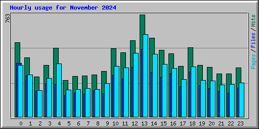 Hourly usage for November 2024