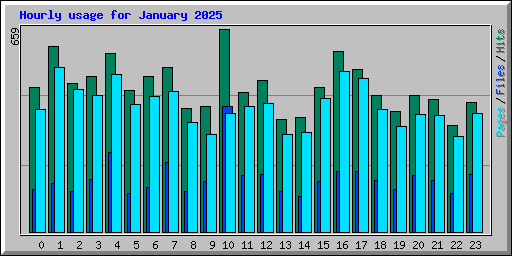 Hourly usage for January 2025