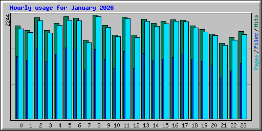 Hourly usage for January 2026